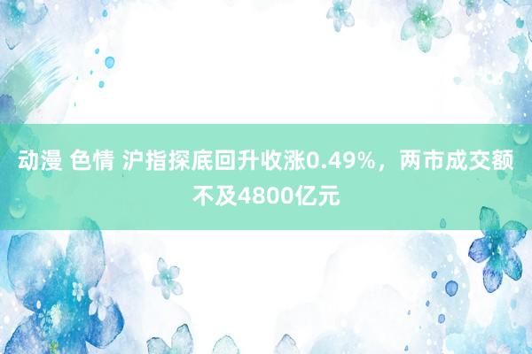 动漫 色情 沪指探底回升收涨0.49%，两市成交额不及4800亿元