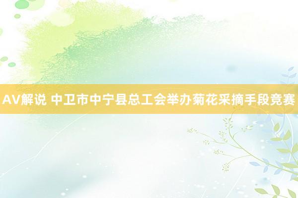 AV解说 中卫市中宁县总工会举办菊花采摘手段竞赛