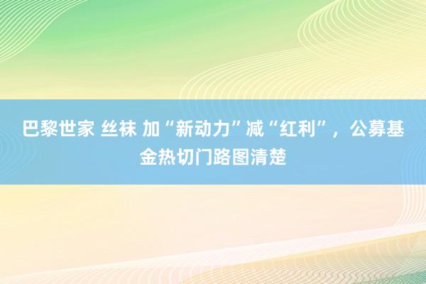 巴黎世家 丝袜 加“新动力”减“红利”，公募基金热切门路图清楚