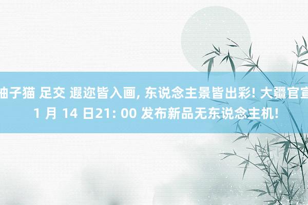 柚子猫 足交 遐迩皆入画， 东说念主景皆出彩! 大疆官宣 1 月 14 日21: 00 发布新品无东说念主机!