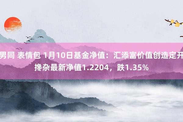 男同 表情包 1月10日基金净值：汇添富价值创造定开搀杂最新净值1.2204，跌1.35%