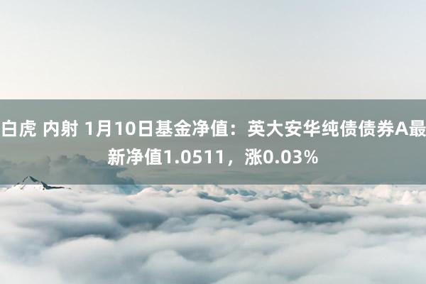 白虎 内射 1月10日基金净值：英大安华纯债债券A最新净值1.0511，涨0.03%