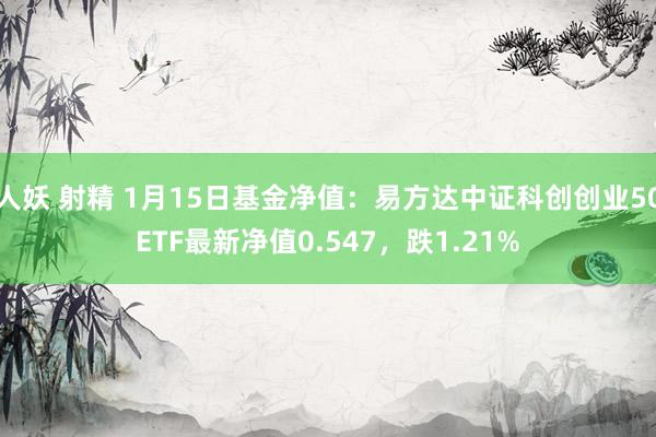 人妖 射精 1月15日基金净值：易方达中证科创创业50ETF最新净值0.547，跌1.21%