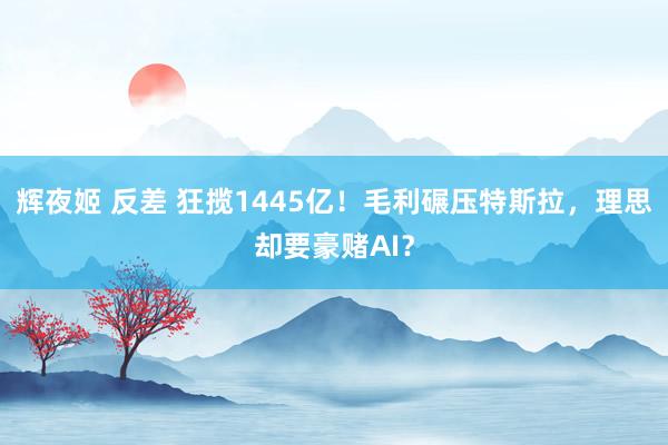 辉夜姬 反差 狂揽1445亿！毛利碾压特斯拉，理思却要豪赌AI？