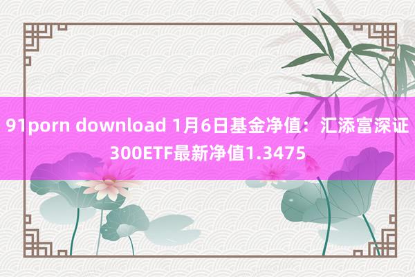 91porn download 1月6日基金净值：汇添富深证300ETF最新净值1.3475